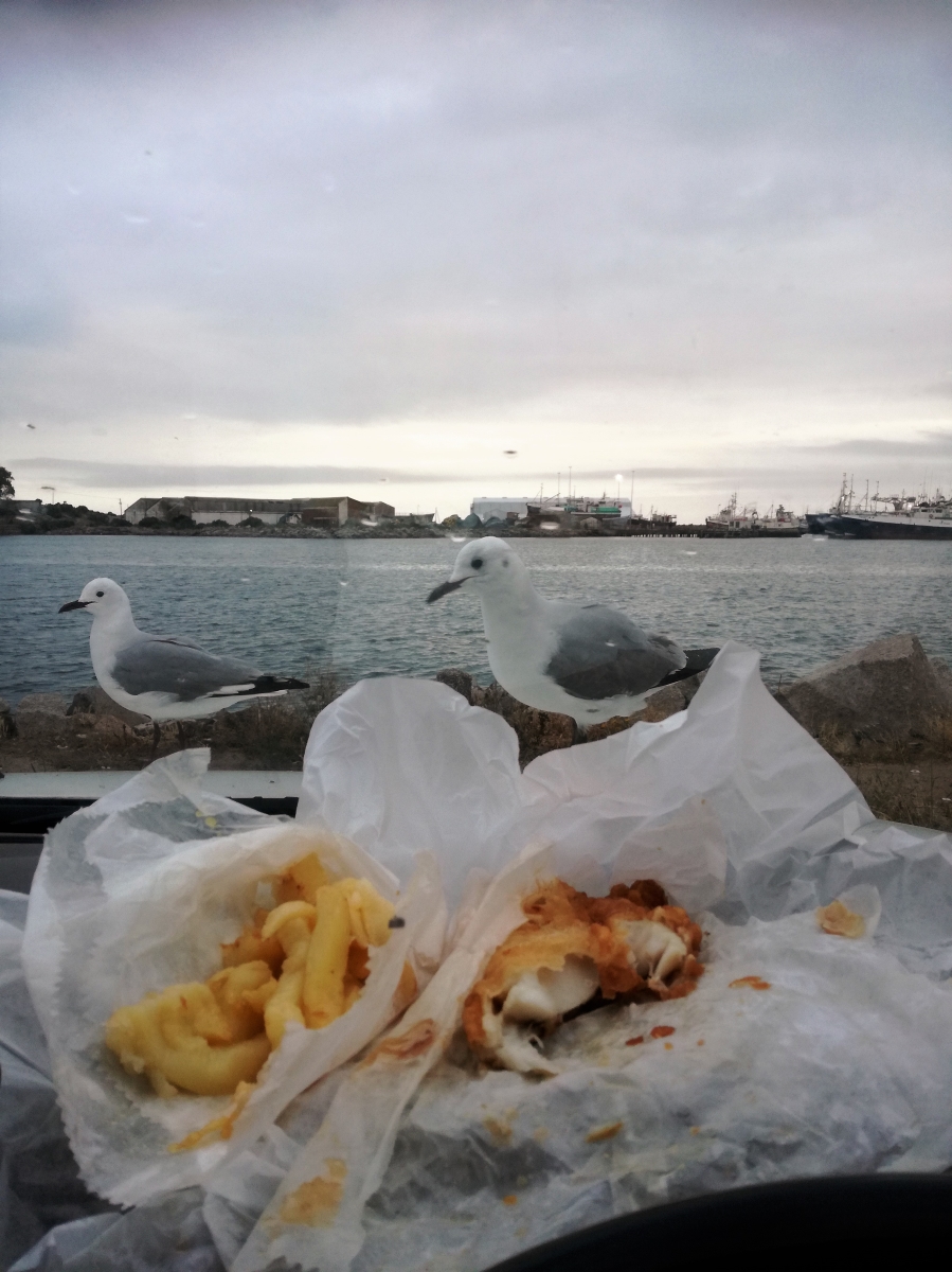 0 Bedroom Property for Sale in Steenbergs Cove Western Cape